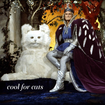 Cool for Cats aka The March Playlist