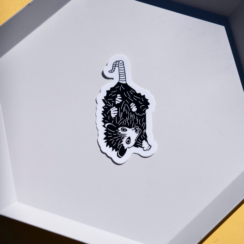 Baby Possum Sticker