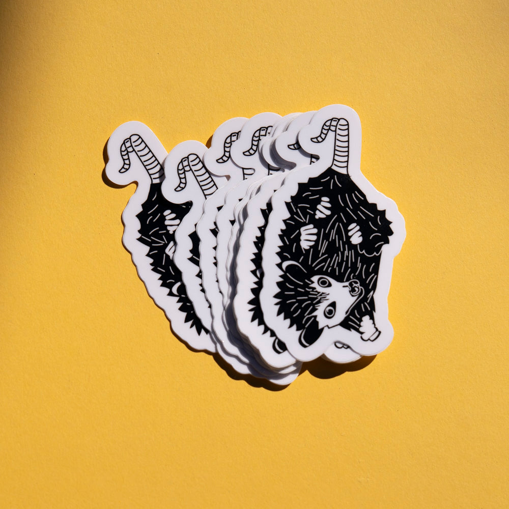 Baby Possum Sticker