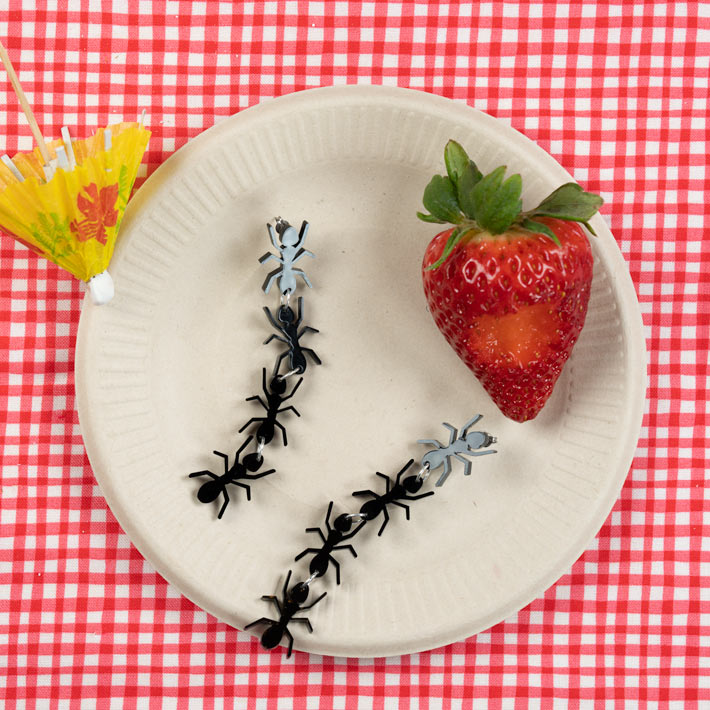 black ant earrings pictured at a picnic